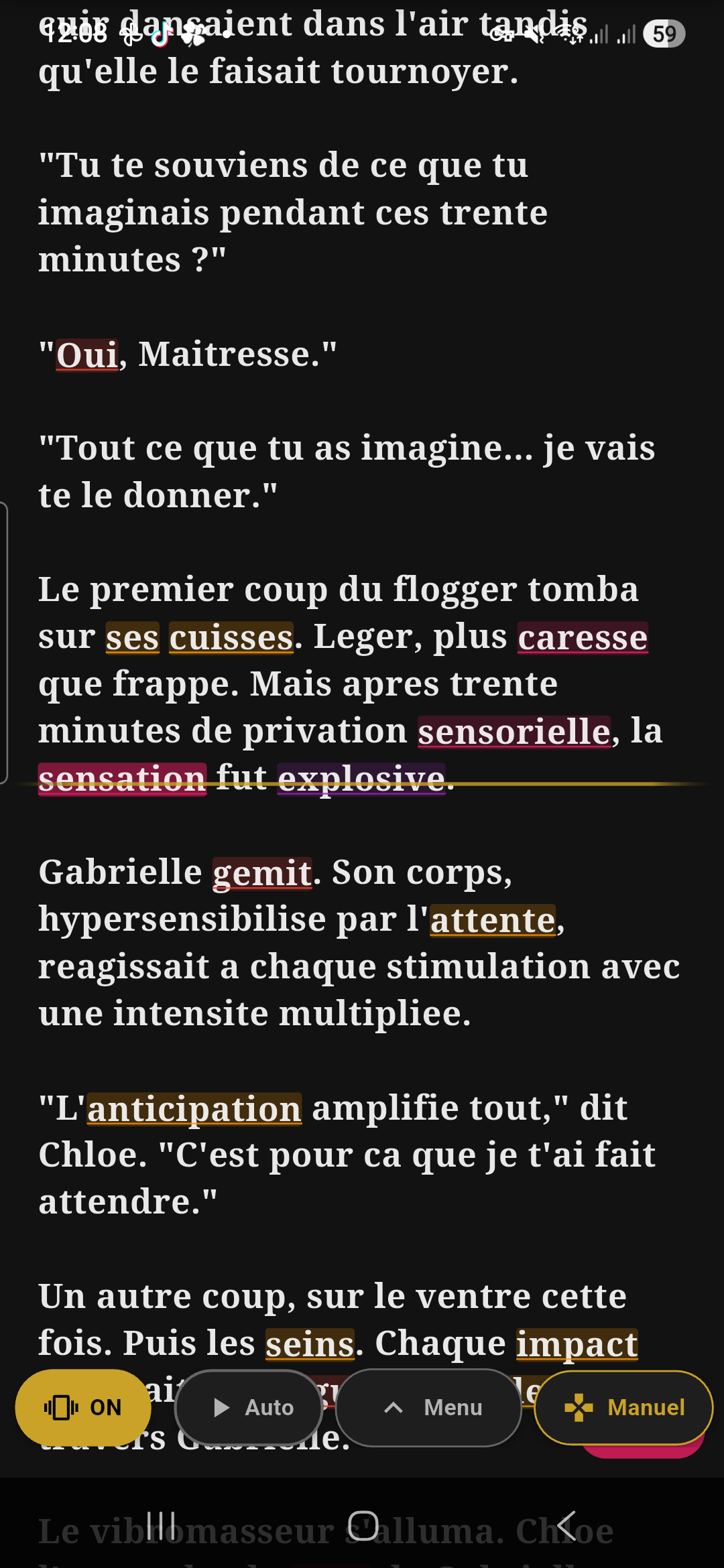 Mode immersion actif avec mots surlignés